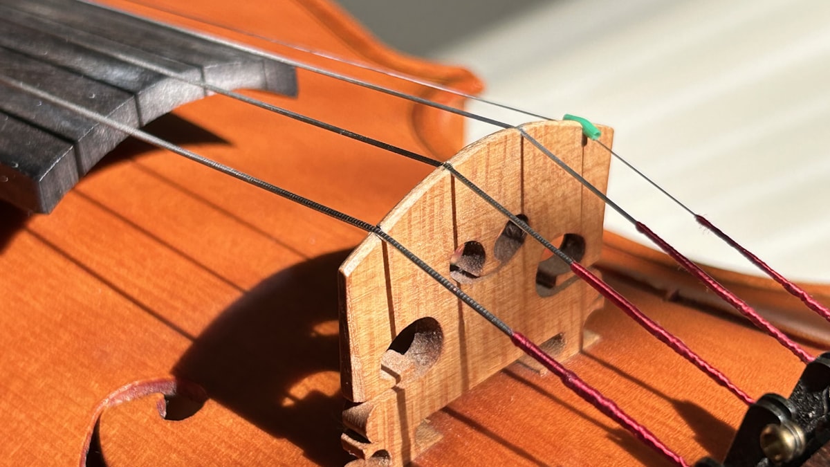 How Much Does It Cost to Rent a Cello in NZ?