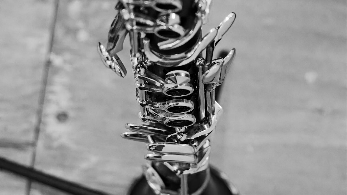 Clarinet vs Flute vs Saxophone: Which Woodwind Should Your Child Play?